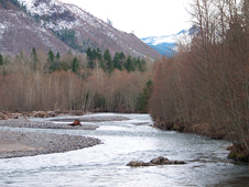 Cowlitz River, Lewis County WA