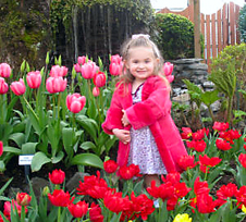 DeGoede's Show Garden