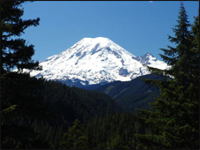 Mt. Rainier
